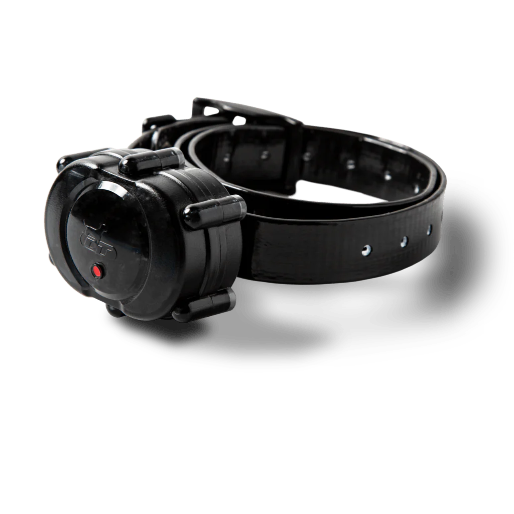 Mircro-iDT Plus Add-On Collar - Pet's Shop