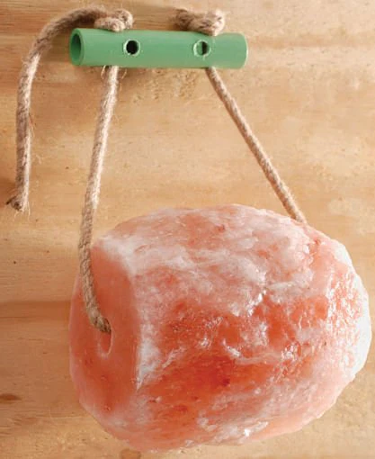 Himalayan Rock Salt Wall Hanger - Pet's Shop