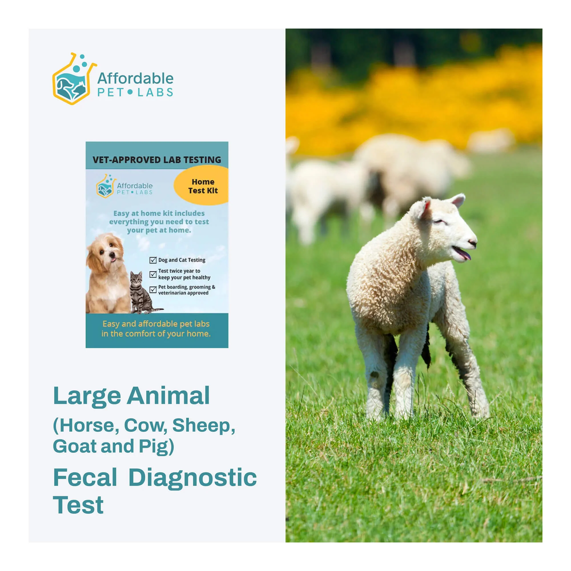 Affordable Pet Labs Large Animal (Horse, Cow, Sheep, Goat and Pig) Fecal Diagnostic Test, Easy Home Kit - Pet's Shop