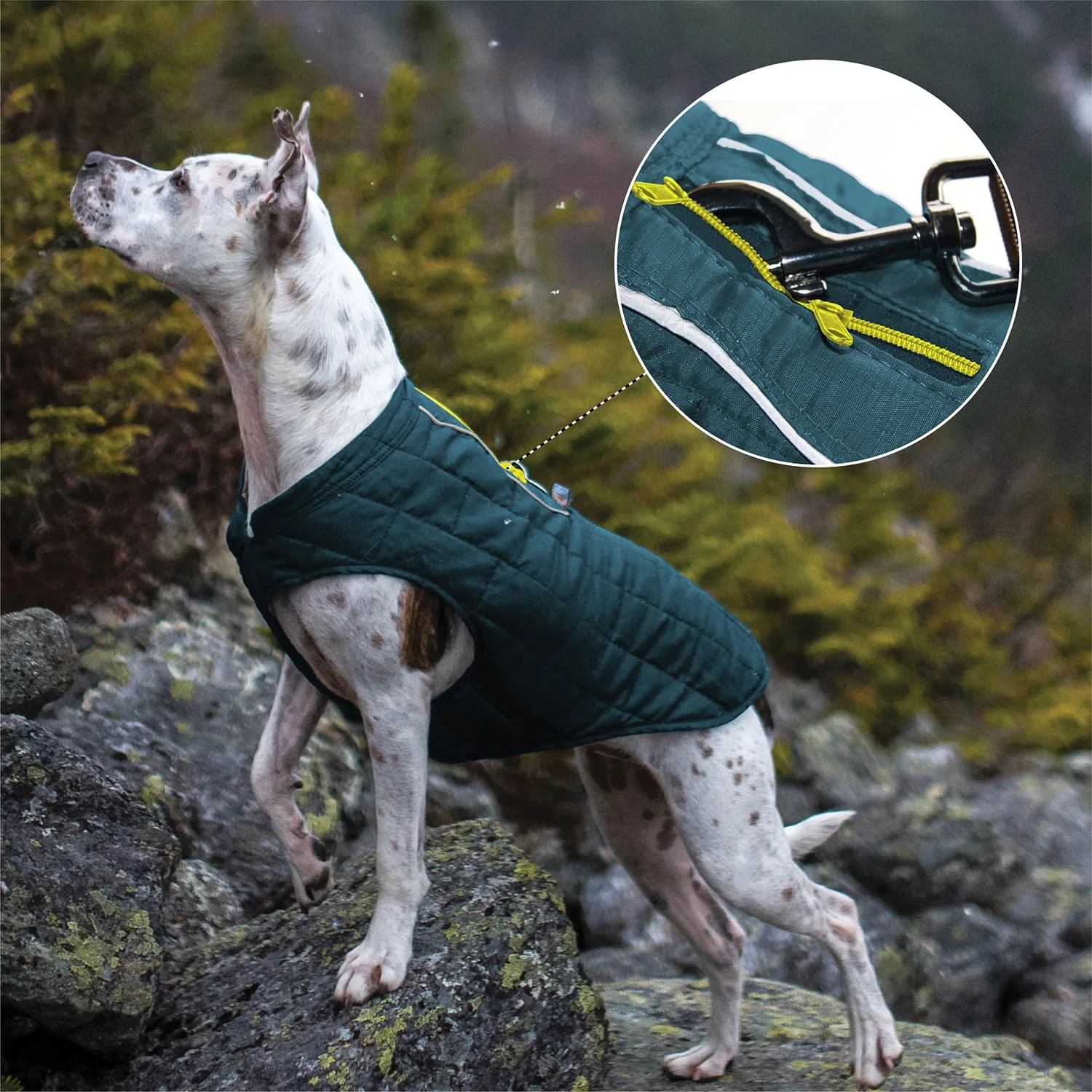 Kurgo Reversible Loft Jacket - Pet's Shop