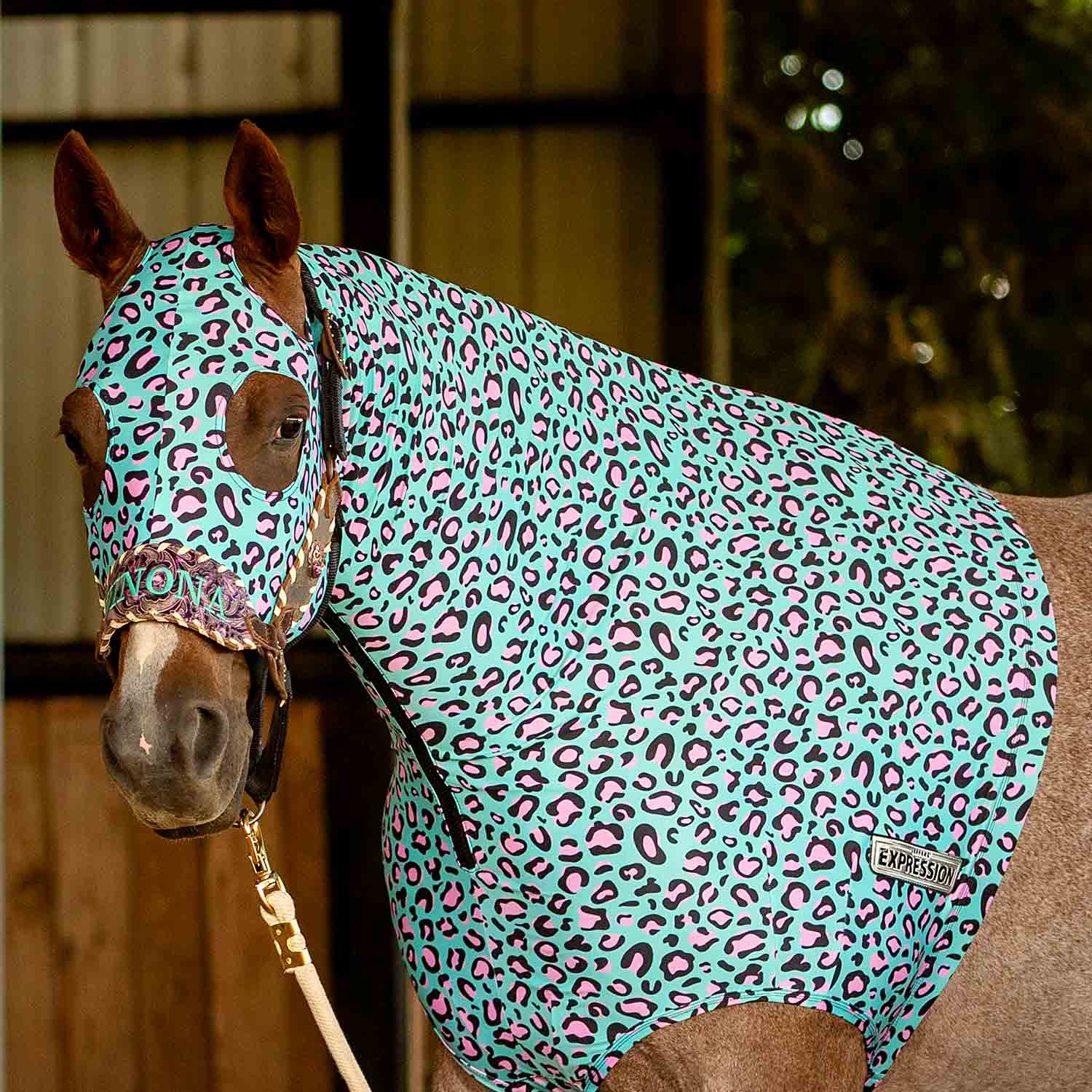 Expression Lycra Hood, Party Cheetah - Pet's Shop