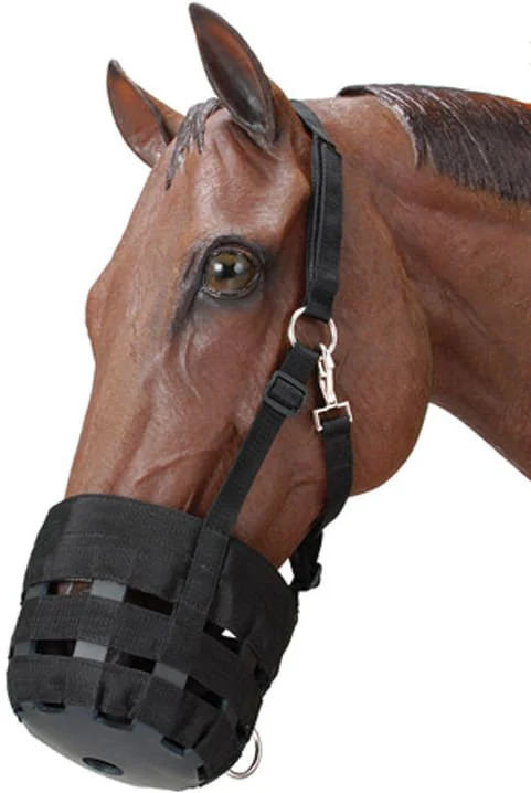 Nylon Horse Grazing Muzzle - Pet's Shop