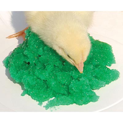 GroGel Plus with DPP Poultry Hatchling Supplement - Pet's Shop