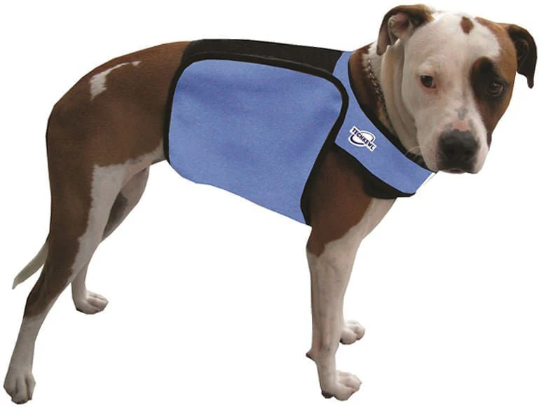 TechKewl Phase Change Cooling Dog Coat - Pet's Shop