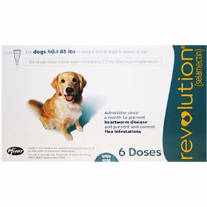 Revolution (selamectin) Canine One-a-month Flea Topical for Dogs - Pet's Shop