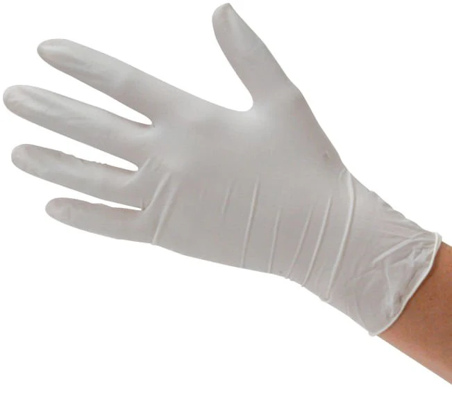 Latex Disposable Gloves, Box of 100 - Pet's Shop