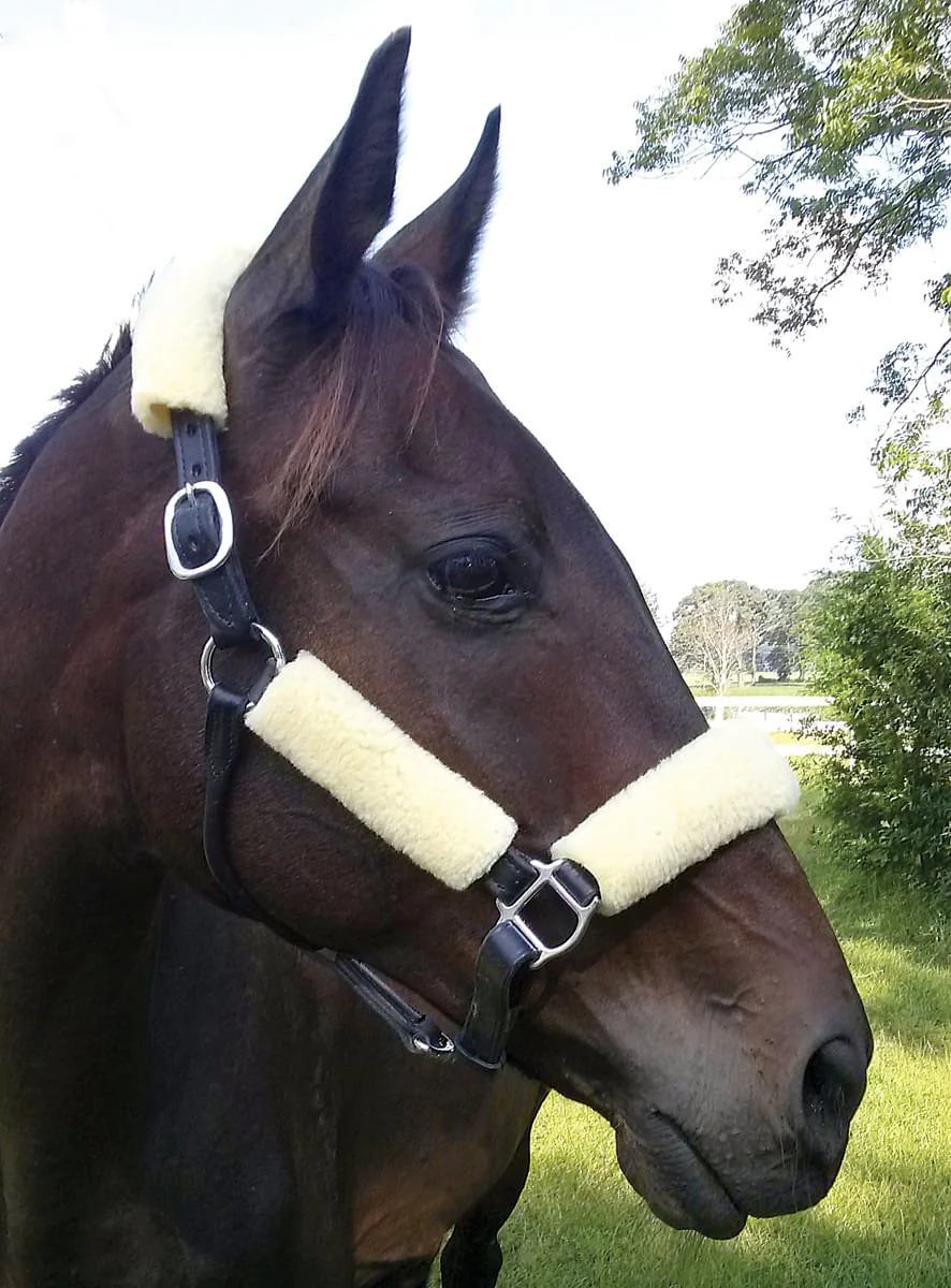Horse Fleece Halter Tube, 4 Piece Comfort Set - Pet's Shop