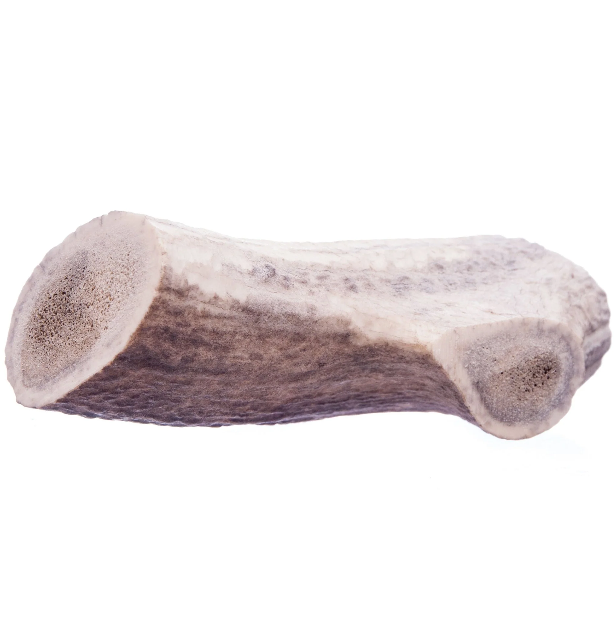 Antlerz - Pet's Shop