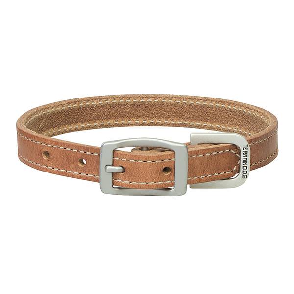 Terrain D.O.G. Harness Leather Dog Collar - Pet's Shop