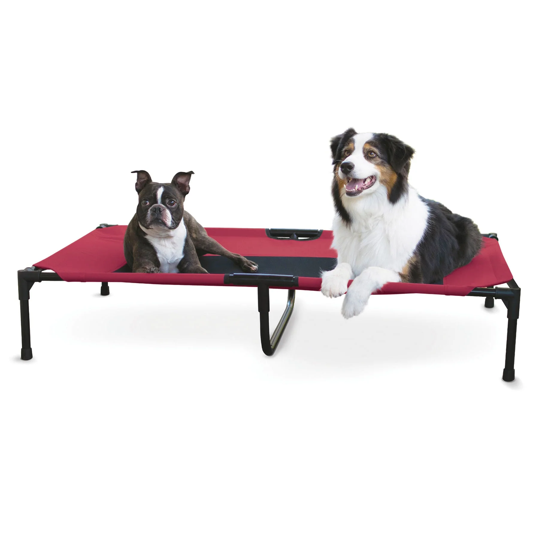 K&H Elevated Dog Bed, Small to X-Large - Pet's Shop