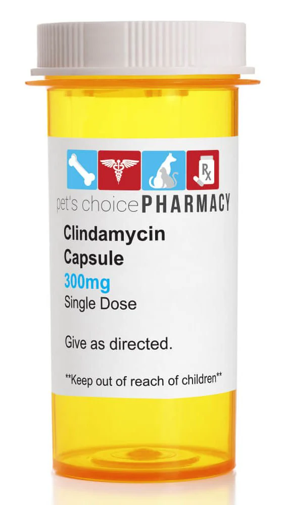 Rx Clindamycin HCl (Generic) Capsules for Dogs - Pet's Shop