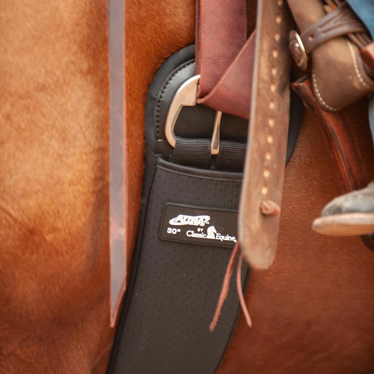 Classic Equine Aura Neoprene Straight Cinch with Stainless Steel Hardware - Pet's Shop