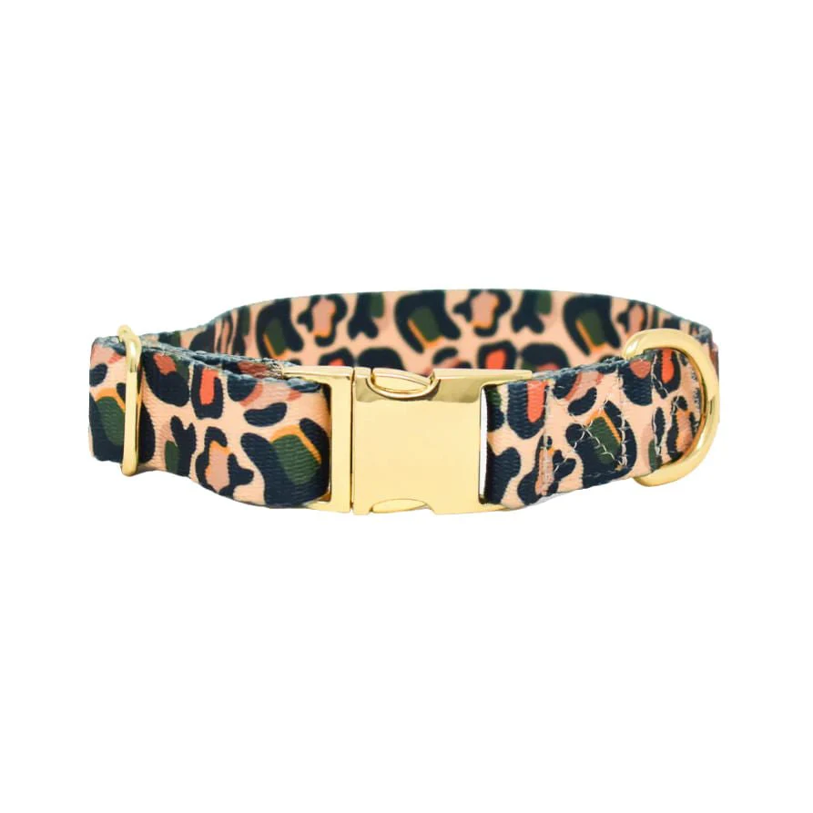 Pink Papyrus Beckett Collar, Leopard - Pet's Shop