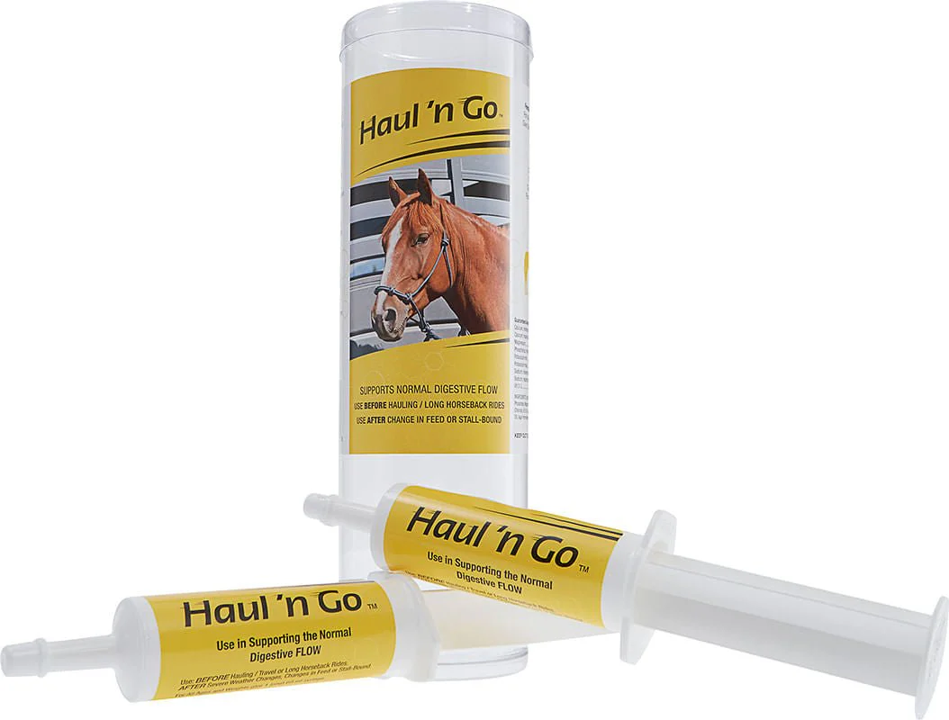 Haul 'N Go - Pet's Shop