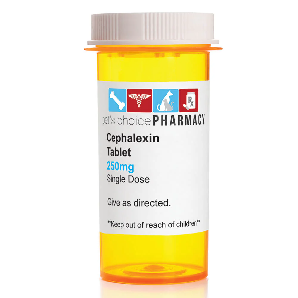 Rx Cephalexin (Generic) Tablets for Cats & Dogs - Pet's Shop