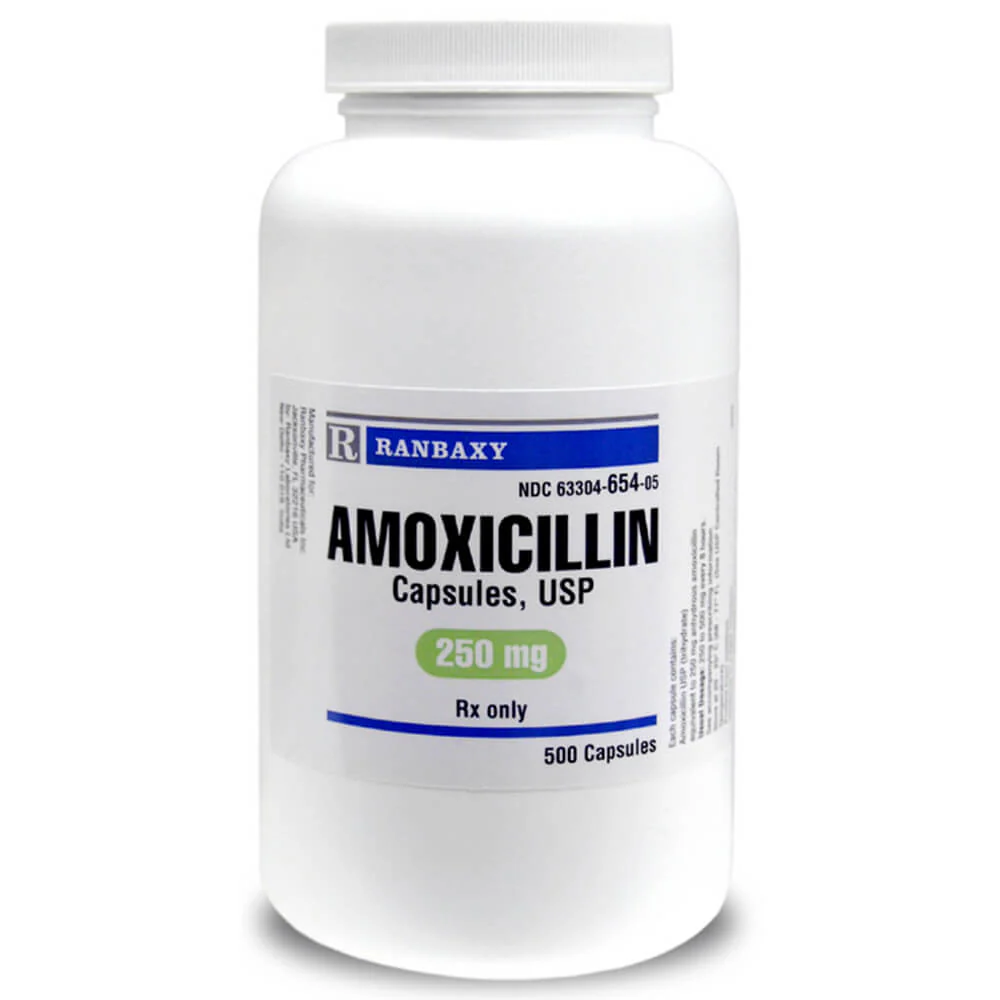 Rx Amoxicillin (Generic) Capsules for Dogs & Cats - Pet's Shop