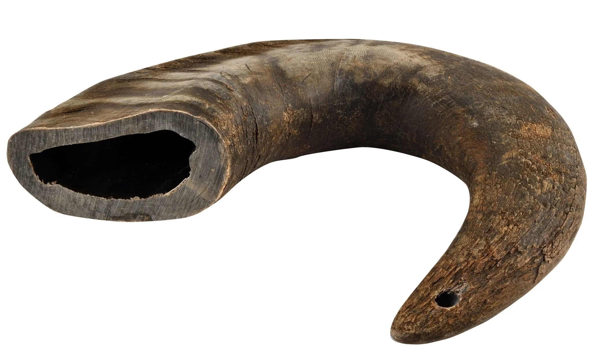 Buffalo Hornz - Pet's Shop