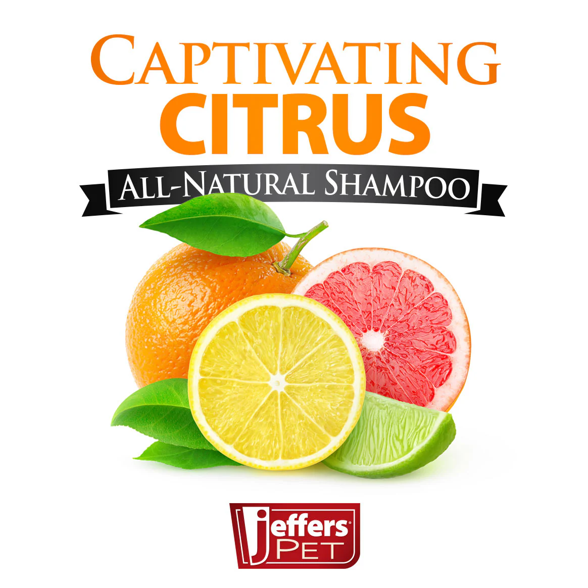 Captivating Citrus Shampoo for Dogs and Cats - Pet's Shop