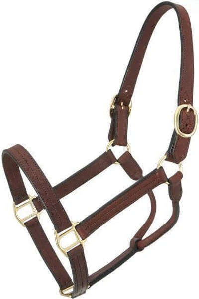 Royal King Preakness Leather Track Horse Halter - Pet's Shop