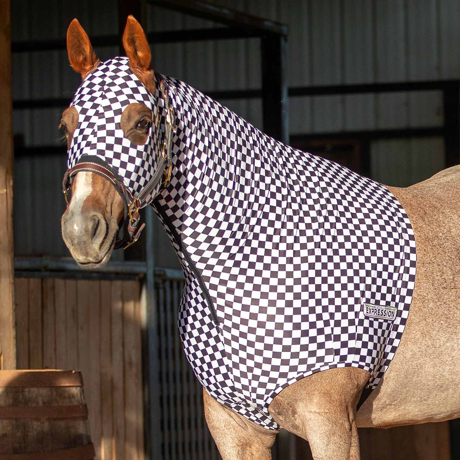 Expression Lycra Hood, Skater Cowgirl - Pet's Shop