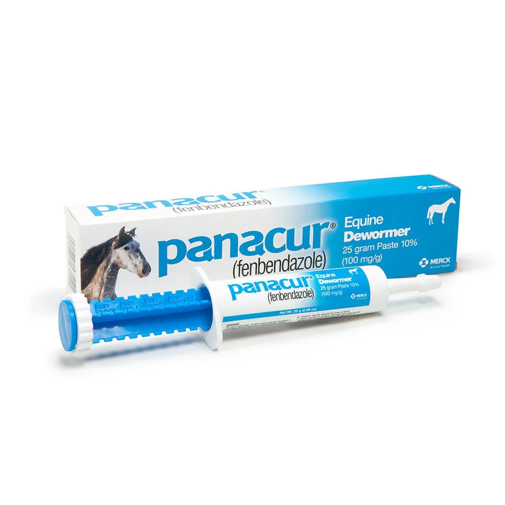 Panacur Equine Fenbendazole Dewormer Paste, 25 g - Pet's Shop
