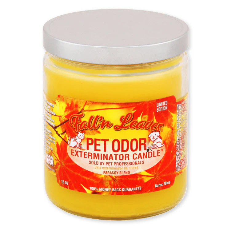 Pet Odor Exterminator Candle, Fall N Leaves, 13 oz - Pet's Shop