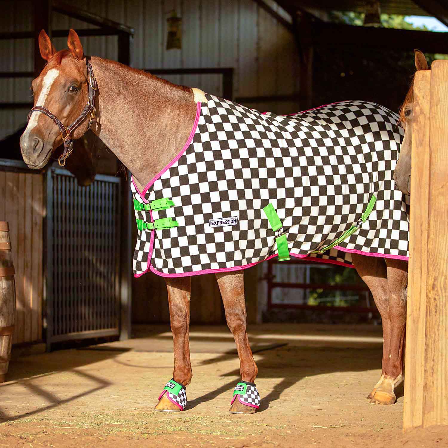 Expression Standard Neck Fleece Horse Cooler, Skater Cowgirl - Pet's Shop
