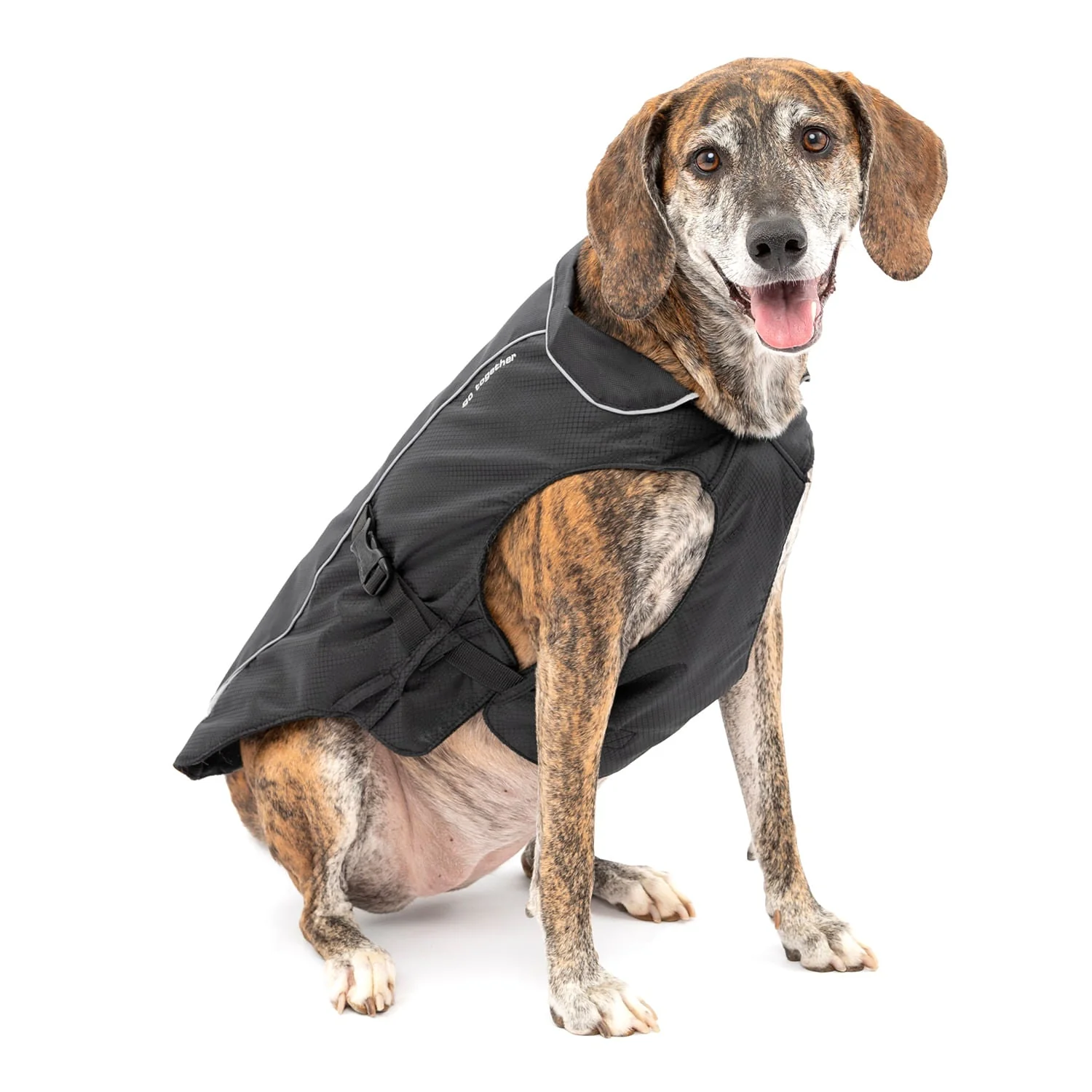 North Country Coat - Pet's Shop