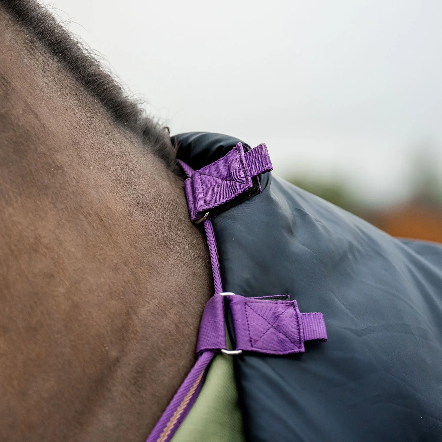 Amigo Hero Ripstop Plus, 100 Gram, Bramble/Winterberry - Pet's Shop