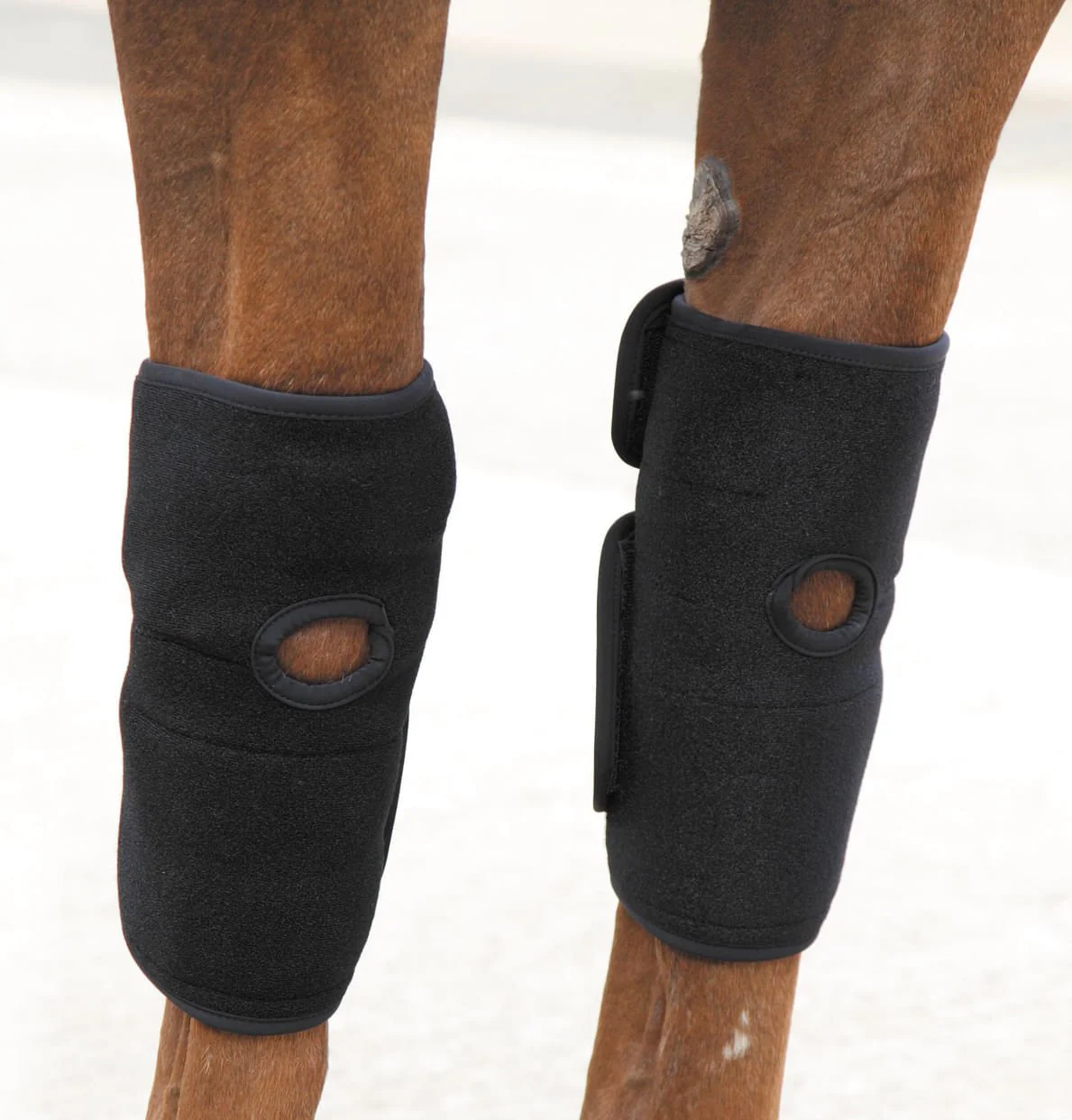 ARMA Hot/Cold Joint Relief Boots - Pet's Shop