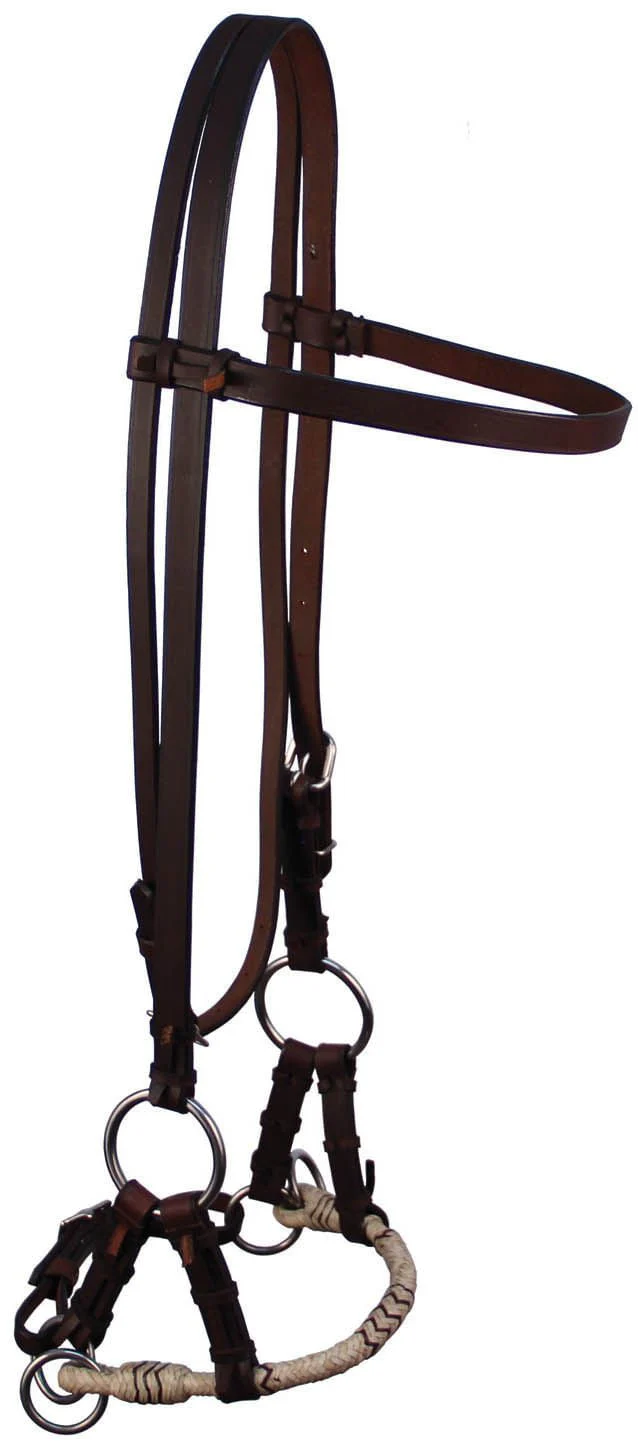 Rawhide Nose Side Pull - Pet's Shop