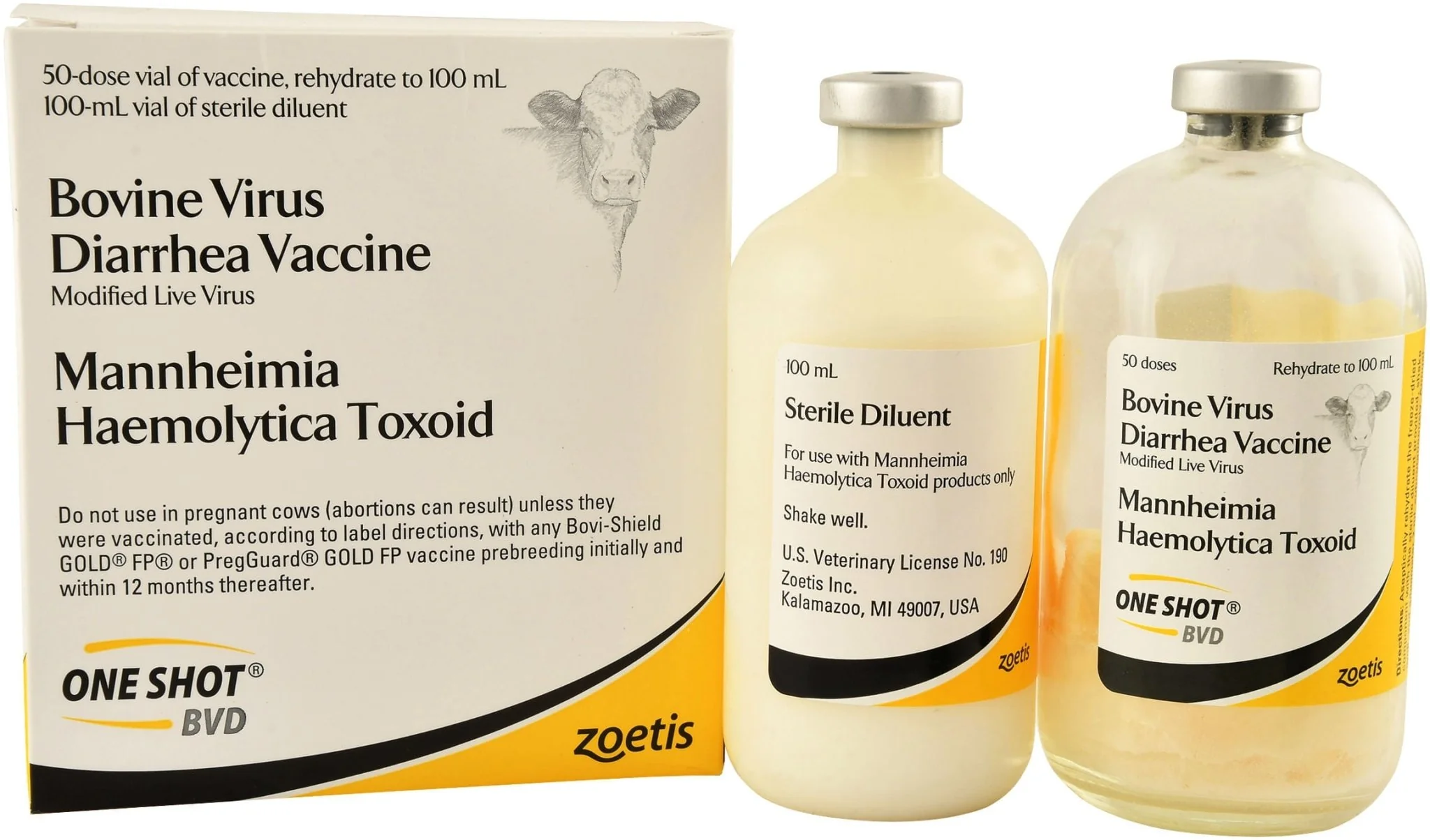 One Shot? BVD - Pet's Shop