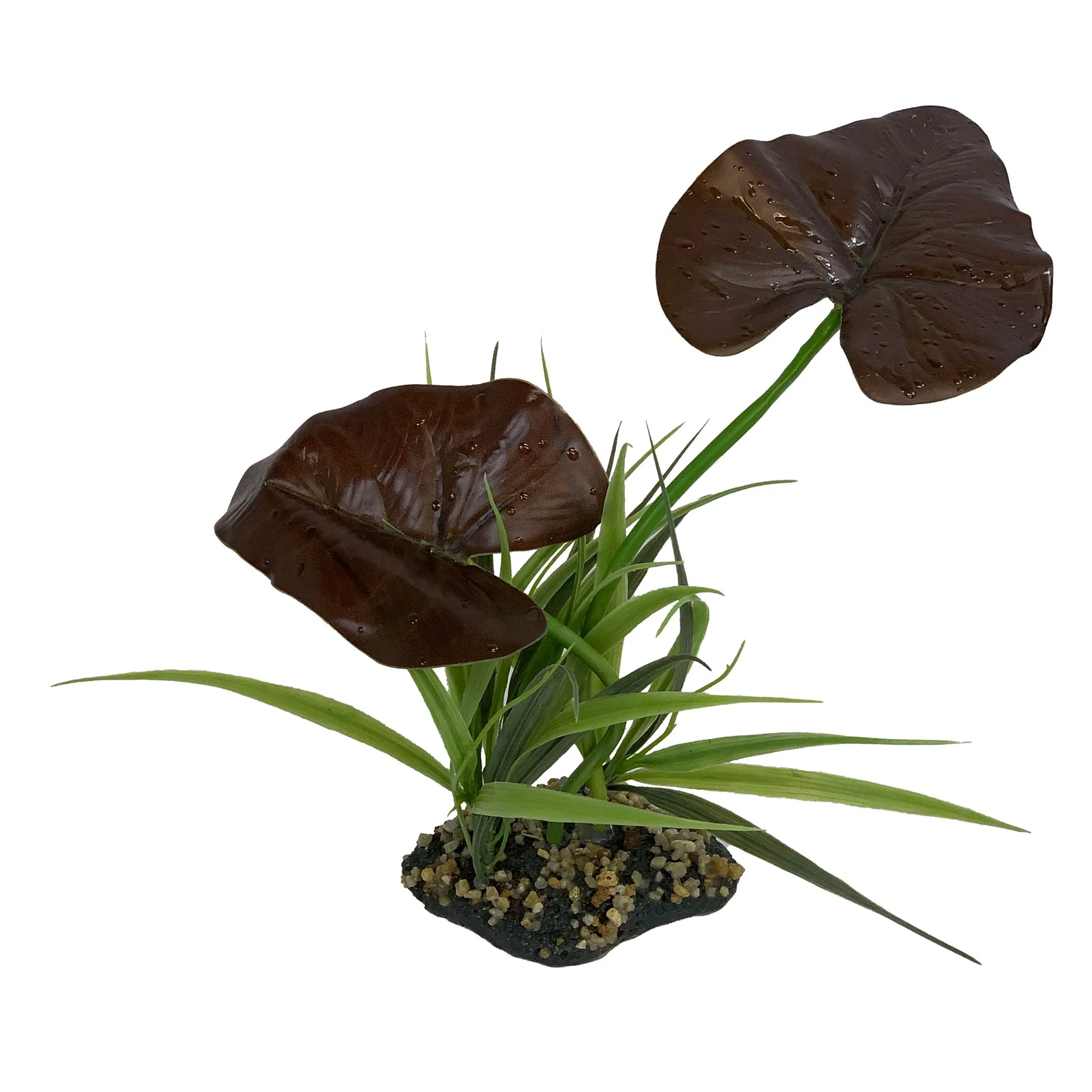 Komodo Canopy - Pet's Shop