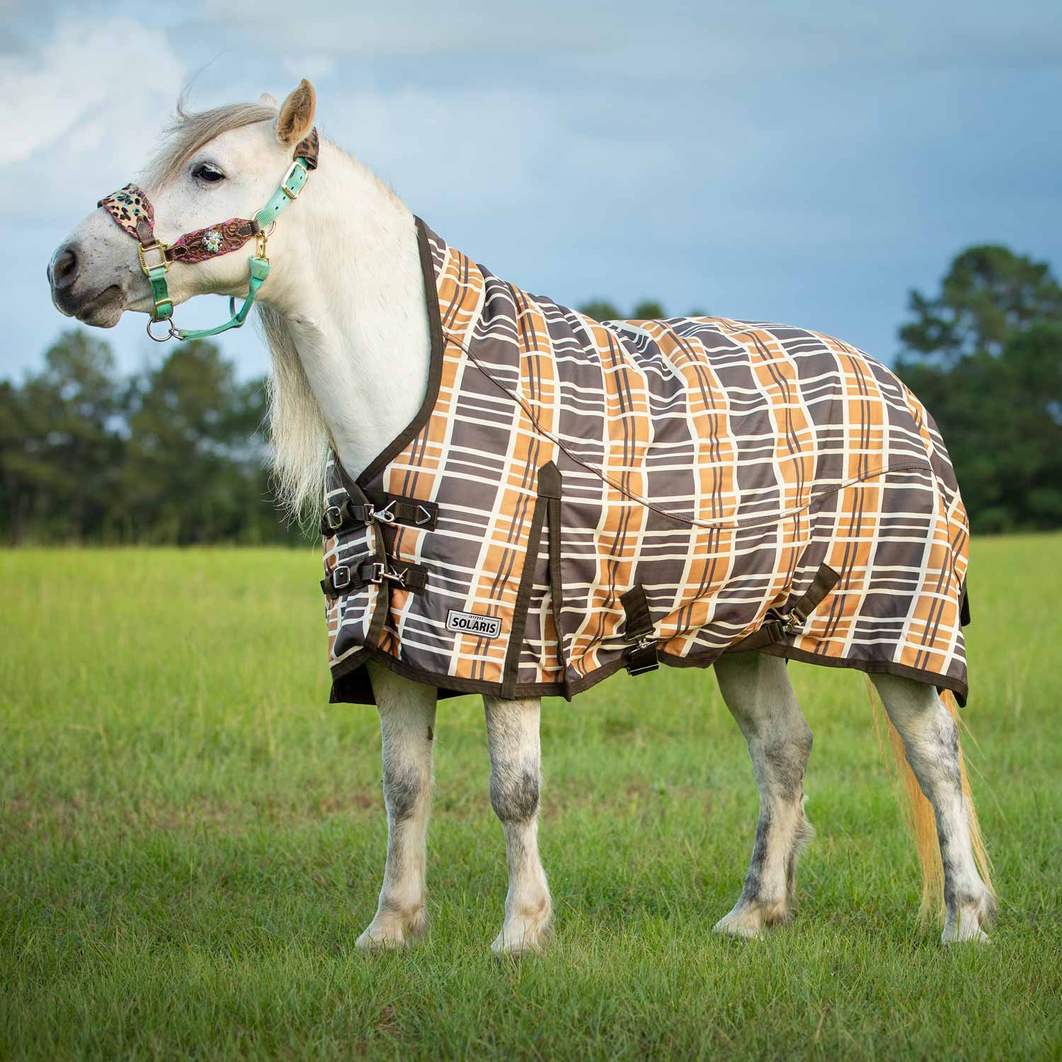 Pony Poppins Solaris Extended Neck Horse Turnout Blanket, Brown & Cream Plaid - Pet's Shop