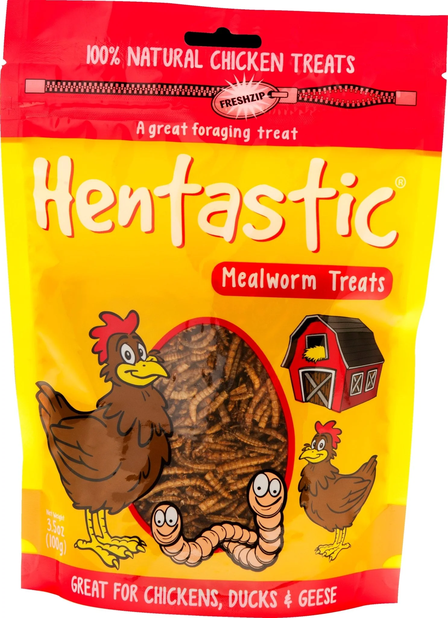 Hentastic Dried Mealworms - Pet's Shop