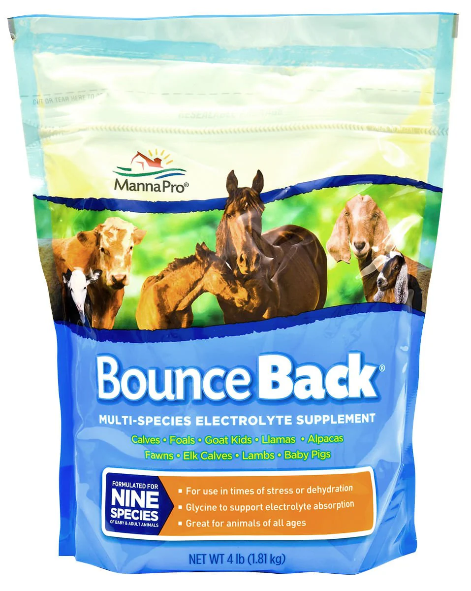 Bounce Back? Multi-Species Electrolyte Supplement - Pet's Shop