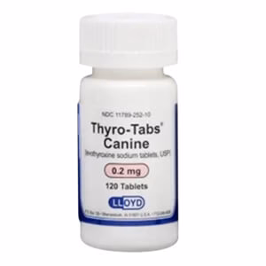 Rx Thyro-Tabs (levothyroxine sodium tablets) Tablets for Dogs - Pet's Shop