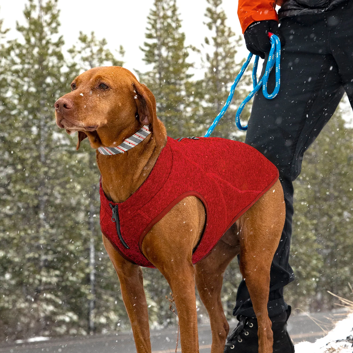 Kurgo K9 Core Sweater - Pet's Shop