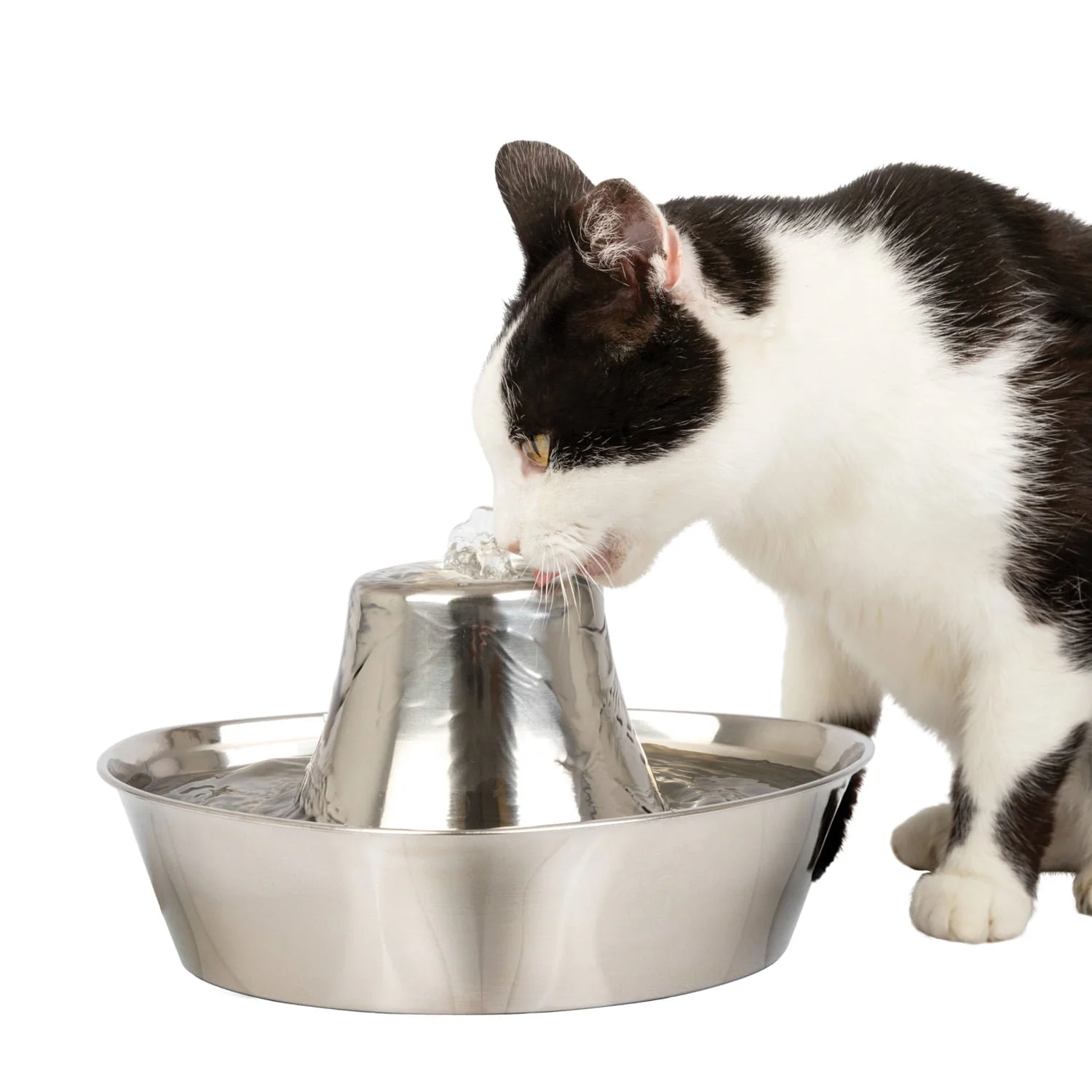 PetSafe Seaside Stainless Pet Fountain - Pet's Shop