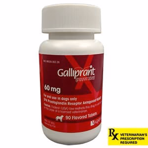 Rx Galliprant (Grapiprant) Tablets for Dogs - Pet's Shop