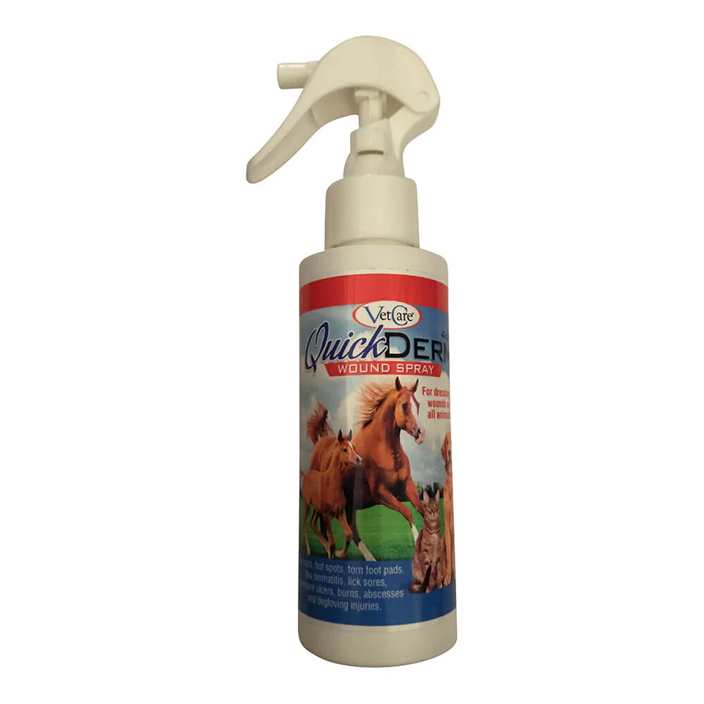 QuickDerm Wound Spray, 4 oz - Pet's Shop