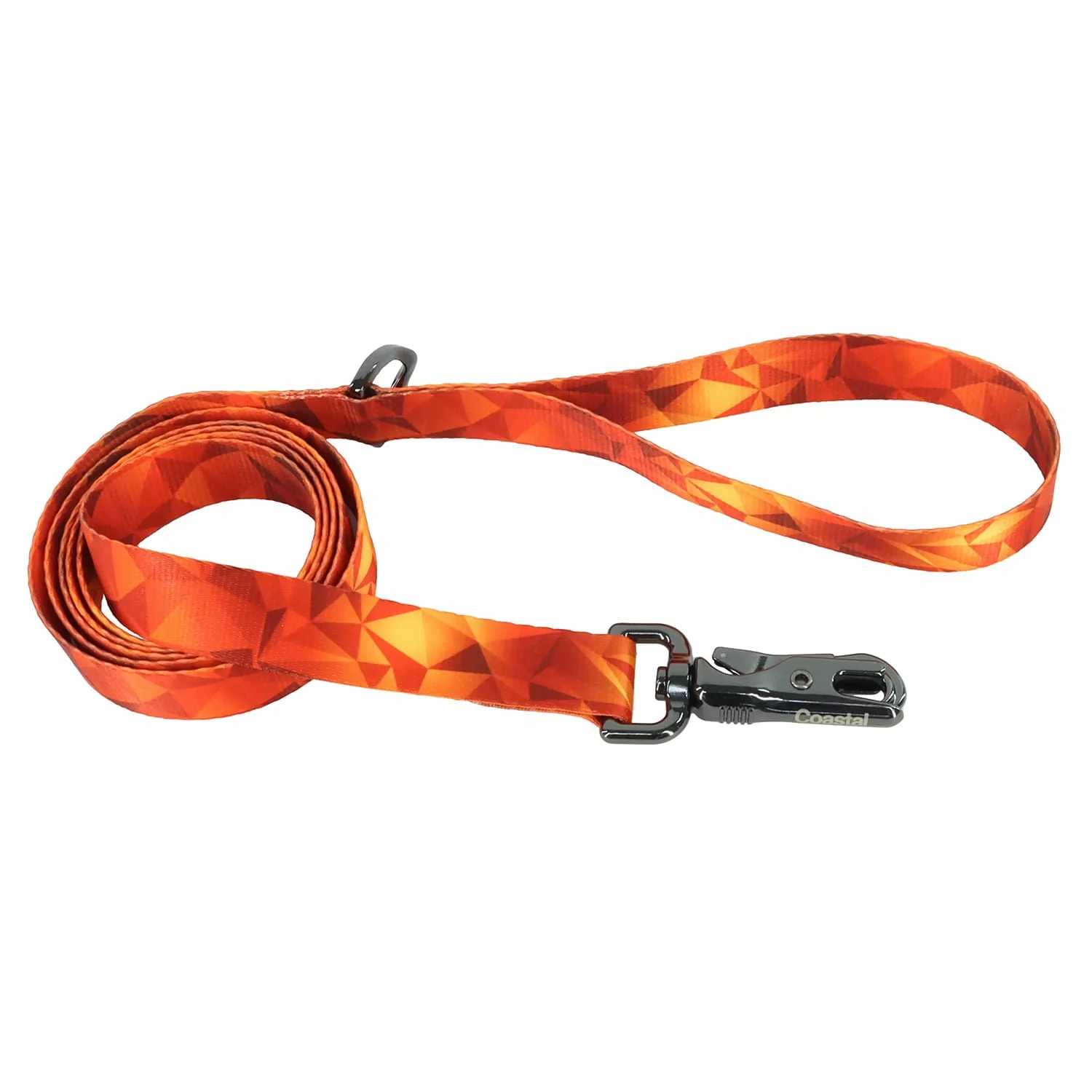 Inspire Fashion Dog Leash - Pet's Shop