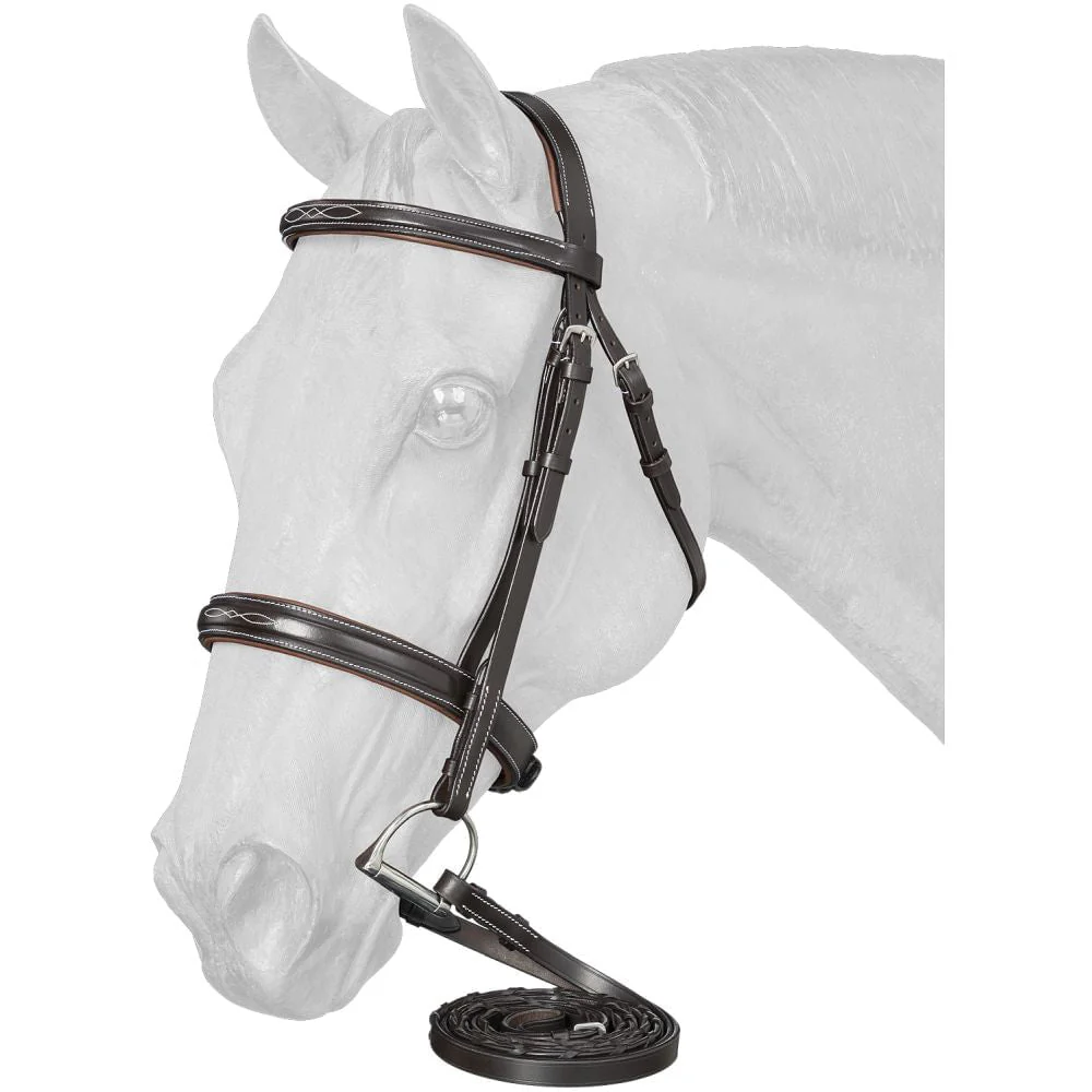 Equitare Cadence Hunter Bridle - Pet's Shop