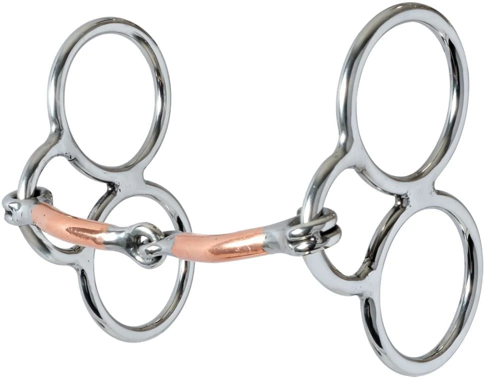 Gentle Guide Bit - Pet's Shop