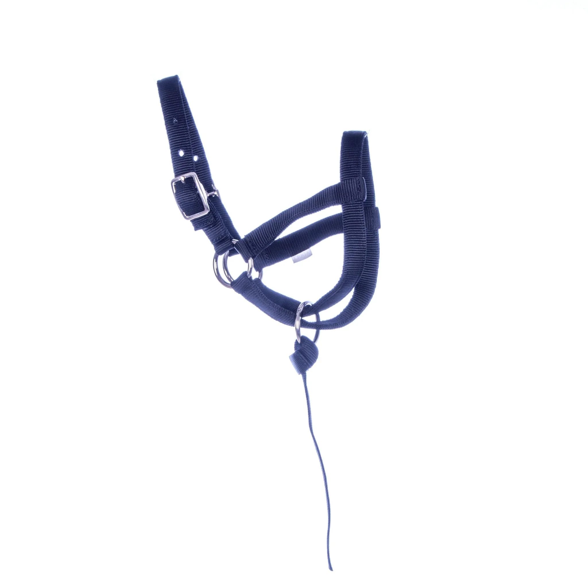 Nylon Llama Halter with Catch Strap - Pet's Shop