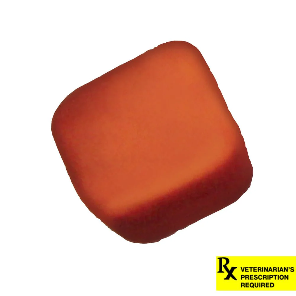 NexGard Flea and Tick Chewables for Dogs - Pet's Shop