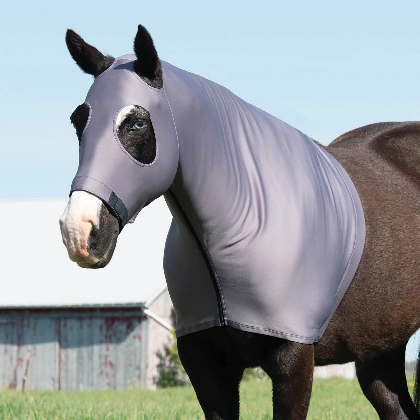 Coolcore Cooling Lycra Hood - Pet's Shop