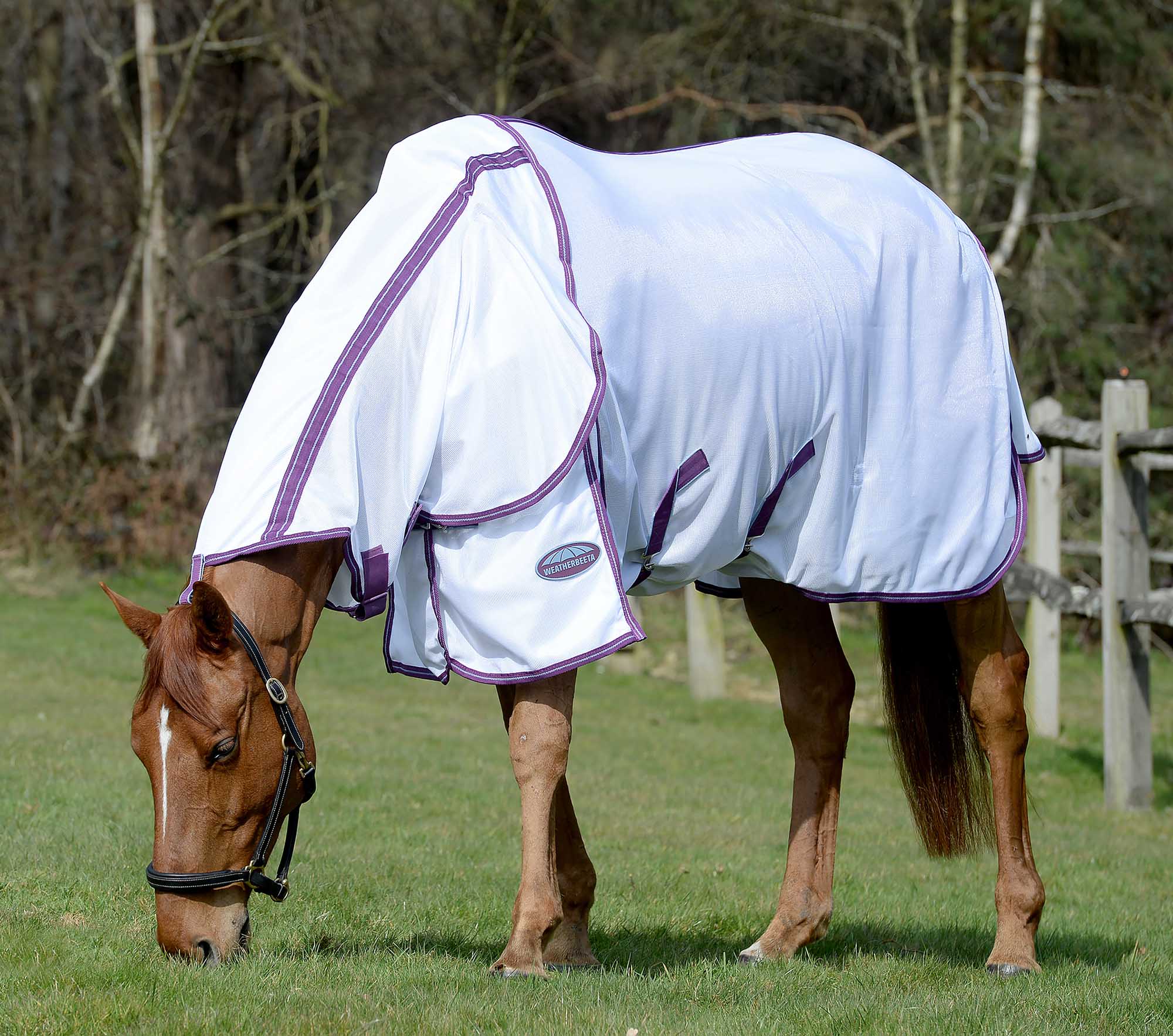 Weatherbeeta ComFITec Airflow II Detach-a-Neck Horse Fly Sheet - Pet's Shop