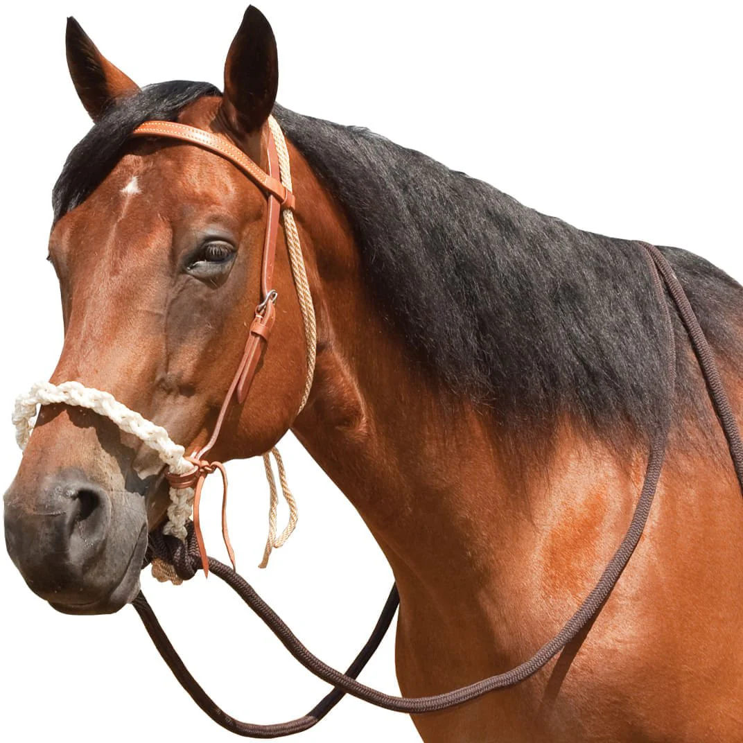 Breaking Hackamore Bridle for Horses - Pet's Shop