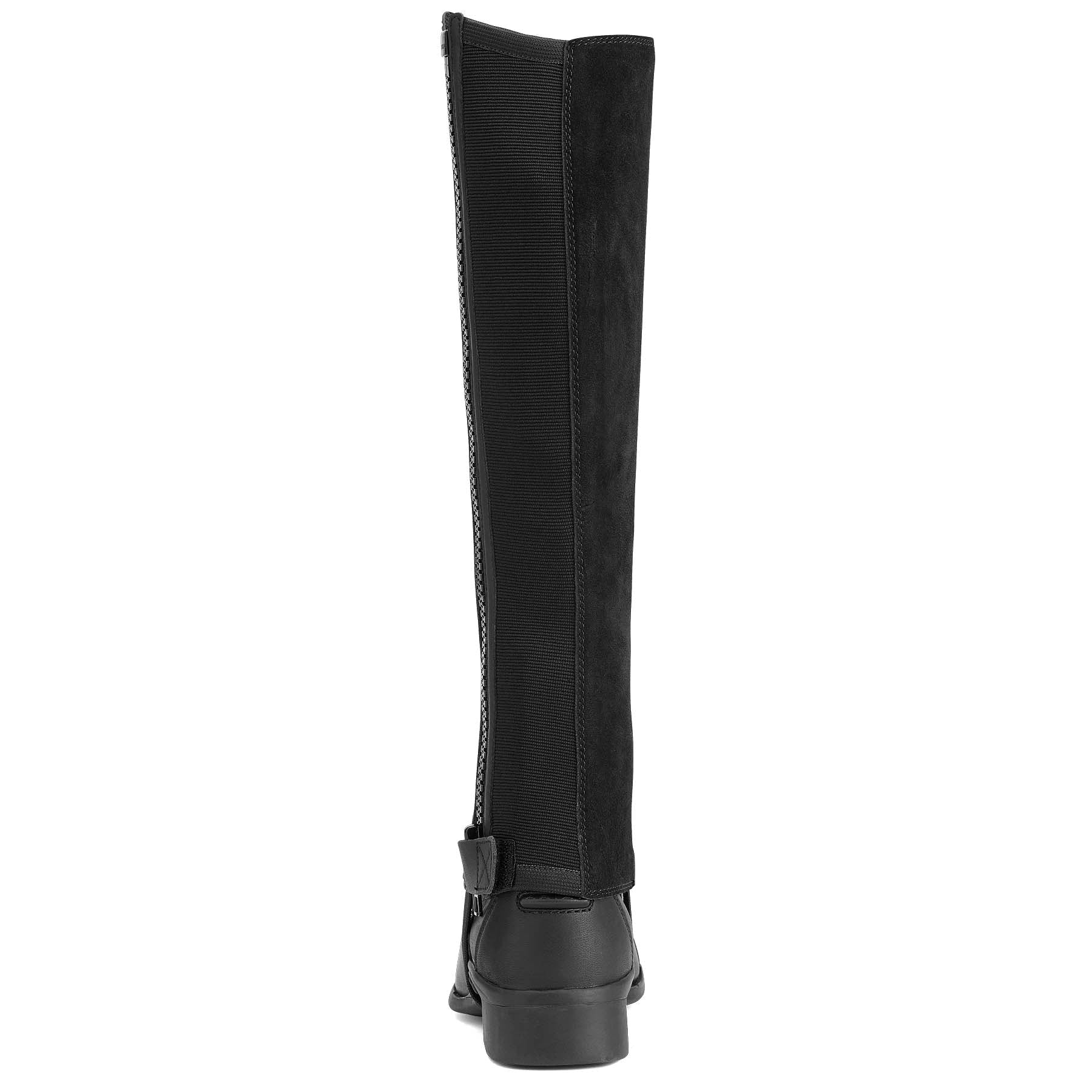 Ariat Scout Half Chap, Adult, Black - Pet's Shop